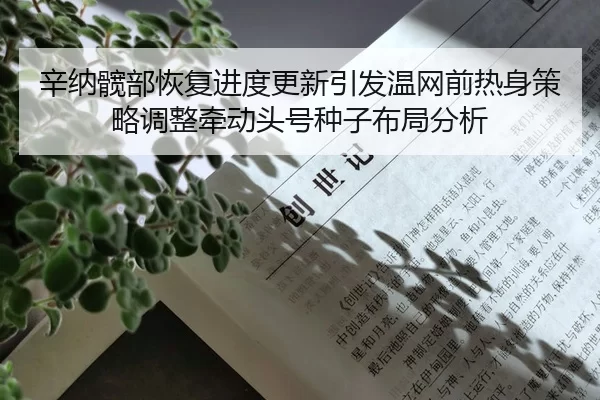xin-na-kuan-bu-hui-fu-jin-du-geng-xin-yin-fa-wen-wang-qian-re-shen-ce-lve-tiao-zheng-qian-dong-tou-hao-zhong-zi-bu-ju-2-345.jpg
