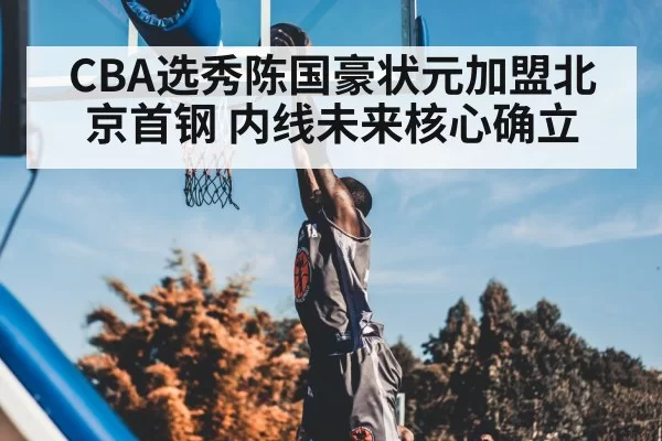 CBA选秀陈国豪状元加盟北京首钢 内线未来核心确立
